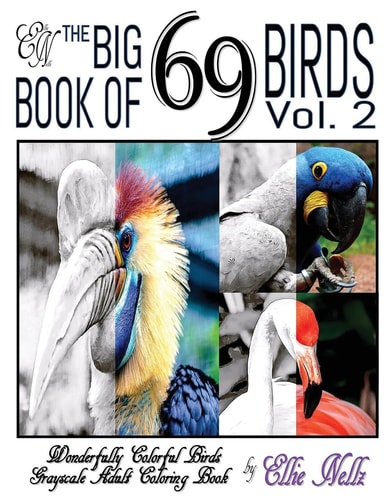 The Big Book of 69 Birds Wonderfully Colorful Birds