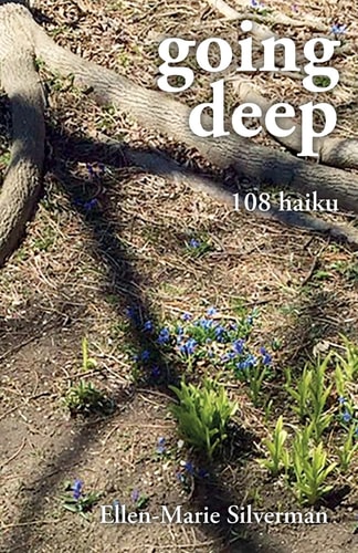 Going Deep 108 Haiku