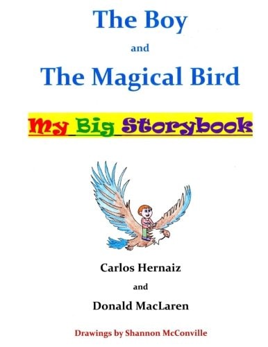 The Boy and the Magical Bird My Big Storybook