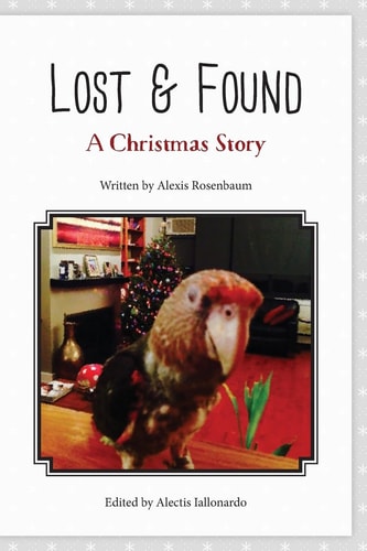Lost and Found A Christmas Story