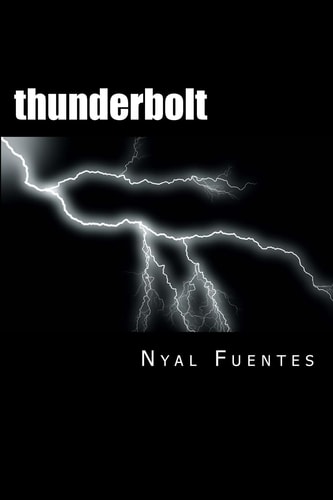 Thunderbolt A Stroke Recovery Memoir