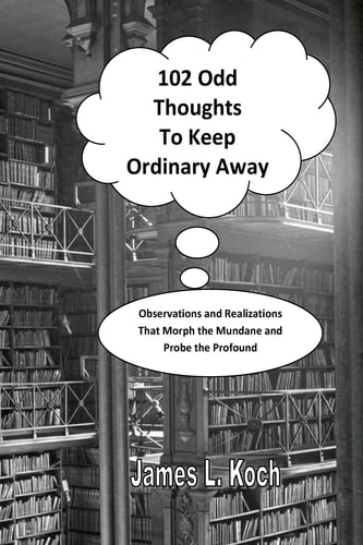 102 Odd Thoughts to Keep Ordinary Away Observations and Realizations That Morph the Mundane and Probe the Profound