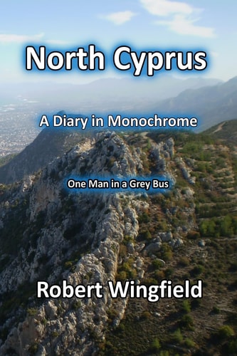 North Cyprus - a Diary in Monochrome One Man in a Grey Bus