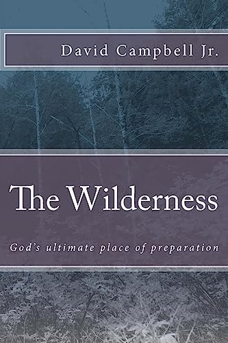 The Wilderness God's Ultimate Place of Preparation