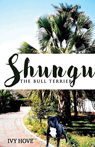 Shungu The Bull Terrier