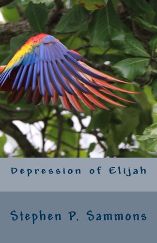 Depression of Elijah On Depression and Renewal in Christian Service