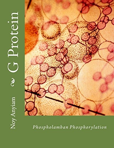 G Protein Characterisation of Phospholamban Phosphorylation in Response to Beta1-Adrenoceptor Stimulation in Cardiac H9c2 Myocytes