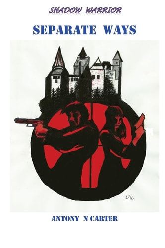 Shadow Warrior Separate Ways