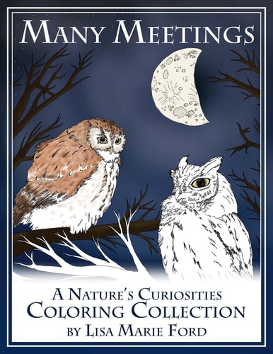 Many Meetings A Nature's Curiosities Coloring Collection