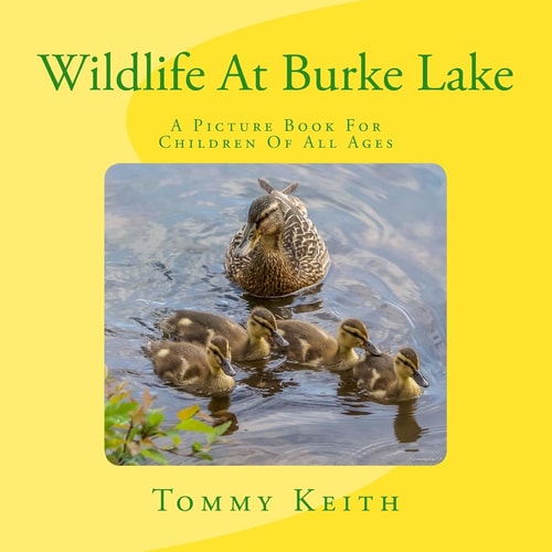 Wildlife At Burke Lake A Picture Book For Children of All Ages