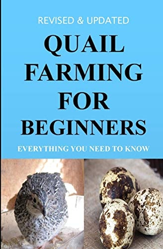 Quail Farming For Beginners Everything You Need To Know (Revised And Updated)