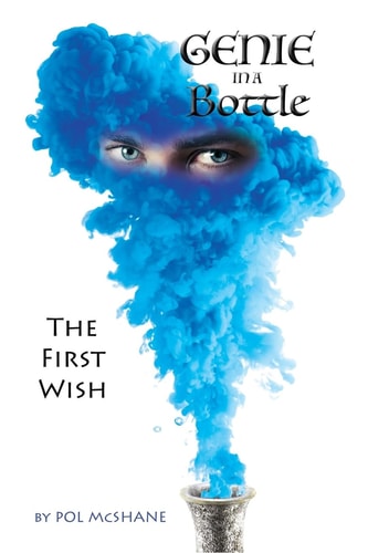 Genie in a Bottle The First Wish