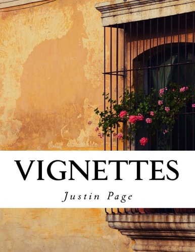 Vignettes Musings and Prose