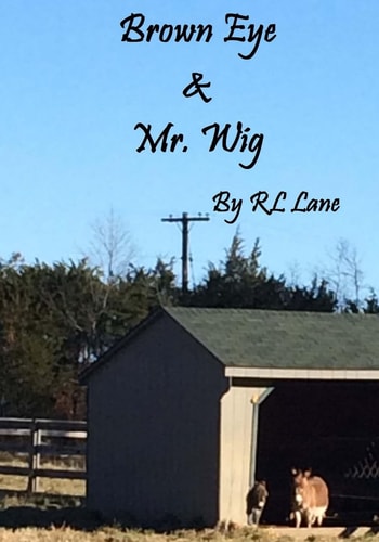 Brown Eye and Mr. Wig