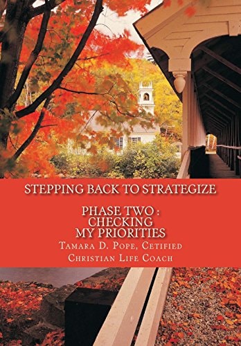 Stepping Back to Strategize Phase Two: Checking My Priorities
