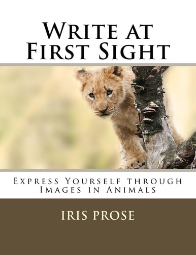 Write at First Sight Express Yourself Through Images in Animals