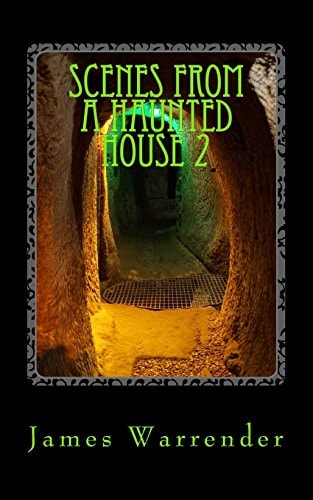 Scenes From A Haunted House 2 Extreme Paranormal