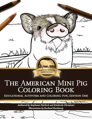 American Mini Pig Coloring Book