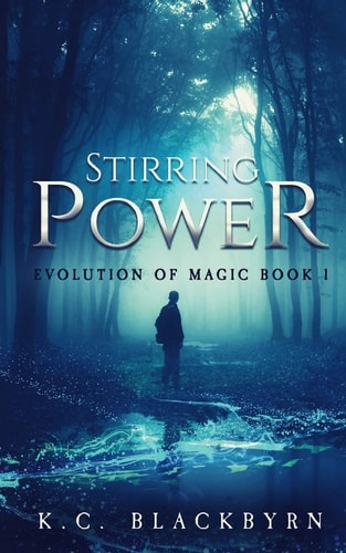 Stirring Power