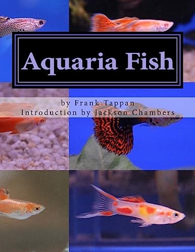 Aquaria Fish Management and Care of Aquarium Fish