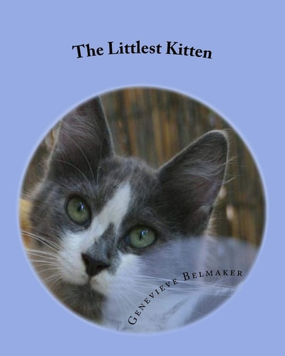 The Littlest Kitten The True Story of One Jerusalem Kitten's Struggle to Survive