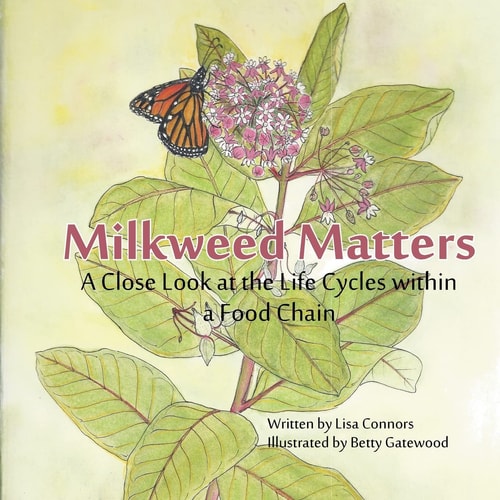 Milkweed Matters A Close Look at the Life Cycles Within a Food Chain