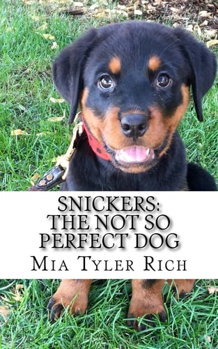 Snickers The Not So Perfect Dog