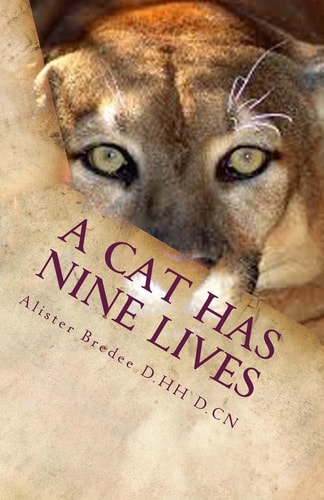 A Cat Has Nine Lives And So Do You.