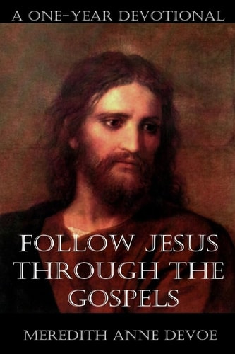 Follow Jesus Through the Gospels A One-Year Devotional