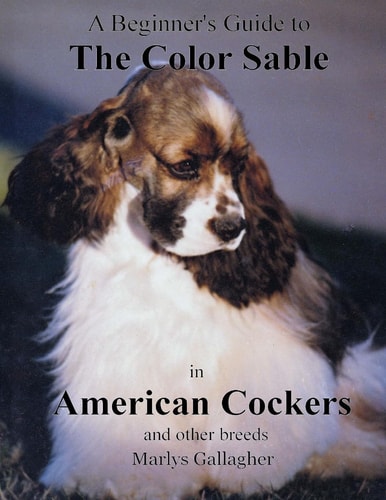 A Beginner's Guide to The Color Sable in American Cockers and Other Breeds