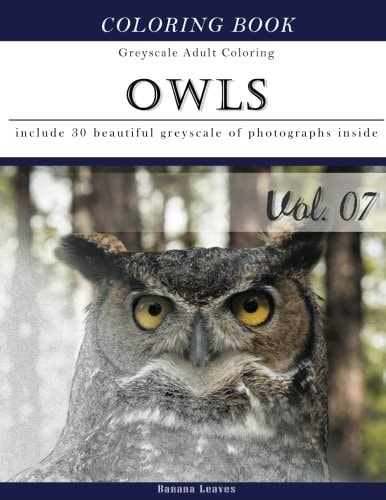 Owls World: Animal Gray Scale Photo Adult Coloring Book, Mind Relaxation Stress Relief Coloring Book Vol7 Series of Coloring Book for Adults and Grown Up, 8. 5 X 11 (21. 59 X 27. 94 Cm)