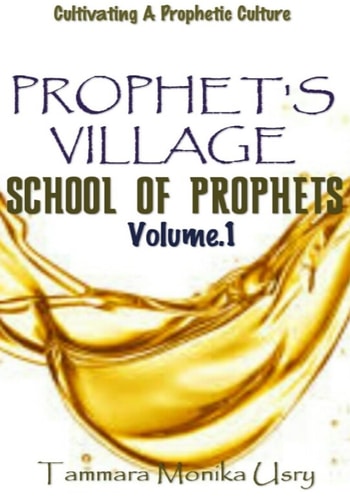 Prophet's Village Training Manual Vol. 1 A Practical Guide to Understanding Prophets and a Prophetic Culture