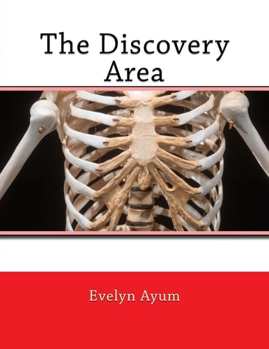 The Discovery Area