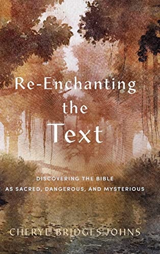 Re-enchanting the Text Discovering the Bible as Sacred, Dangerous, and Mysterious