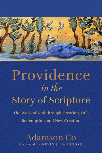 Providence in the Story of Scripture The Work of God Through Creation, Fall, Redemption, and New Creation