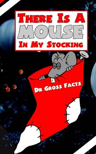 There Is A Mouse In Your Stocking