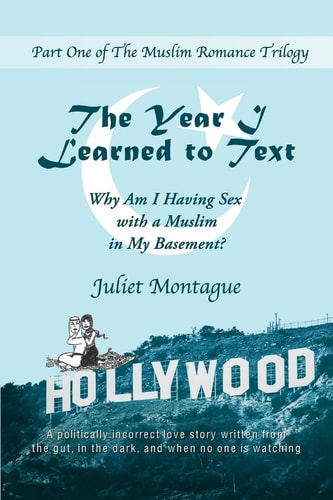 The Year I Learned to Text Why Am I Having Sex with a Muslim in My Basement?