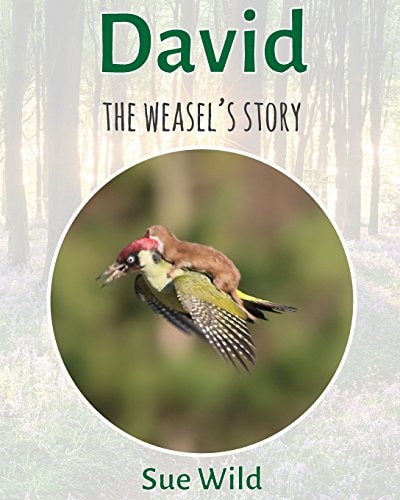 David The Weasel's Story