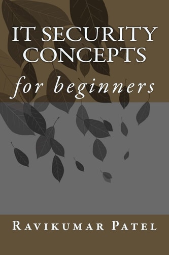 IT Security Concepts