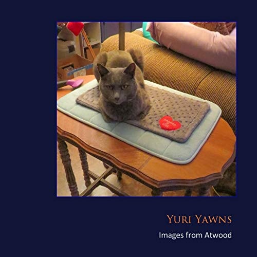 Yuri Yawns Images from Atwood