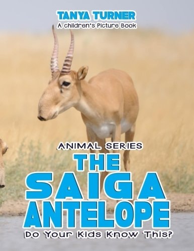 The Saiga Antelope