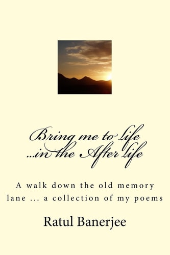 Bring Me to Life ... in the After Life