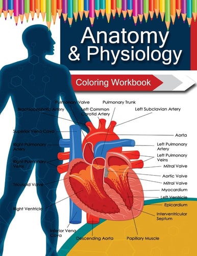 Anatomy and Physiology Coloring WorkBook Books