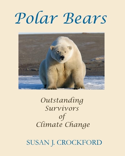 Polar Bears Outstanding Survivors of Climate Change