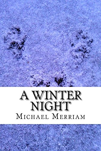 A Winter Night