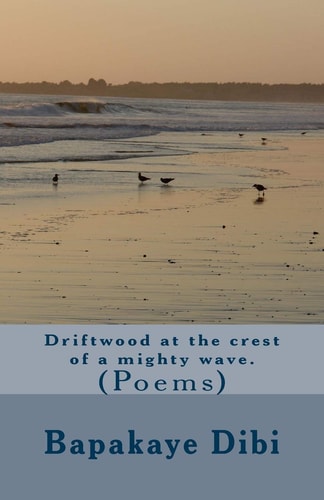 Driftwood at the Crest of a Mighty Wave (poems)
