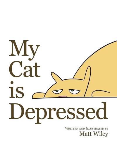 My Cat Is Depressed