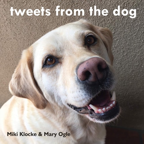 Tweets from the Dog