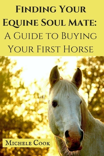 Finding Your Equine Soulmate A Guide to Buying A Horse