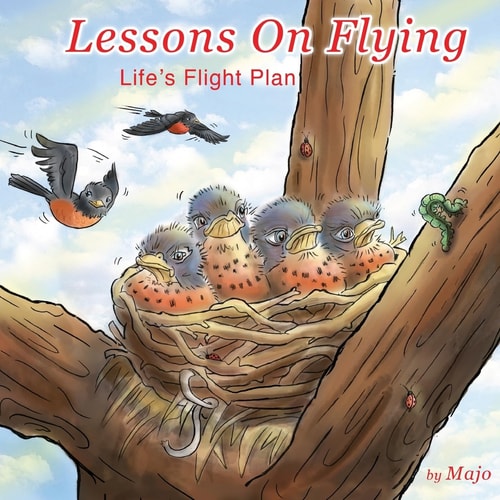 Lessons on Flying Life's Flight Plan